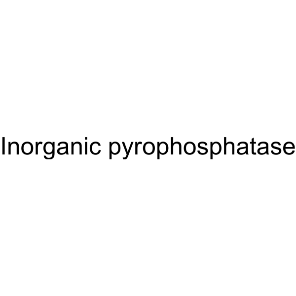 Inorganic pyrophosphatase (PPase) 9024-82-2